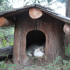 Cabin life