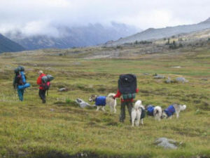 Heading home from Grizzworld Pass