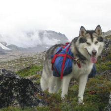 Tuisku at Grizzworld Pass