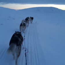 Winter day in the mountains