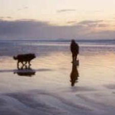 TClamming on Haida Gwaii