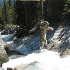 Emma rappelling across Slim Creek Gorge