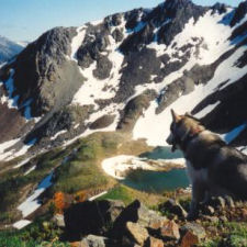 Cayoosh Range in the Coast Mountains