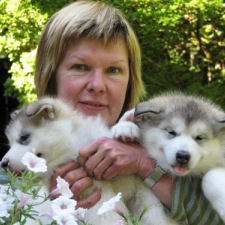 Six weeks old furballs